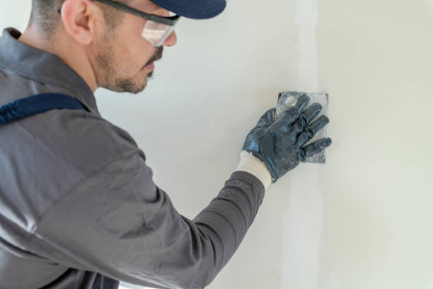 Trusted Rosebud, SD Mold Removal Experts